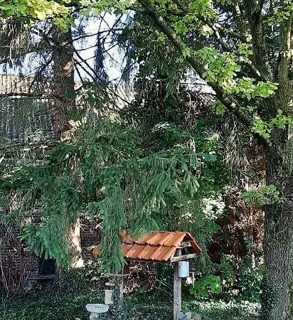 Quinterhof Bed & Breakfast *